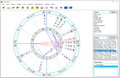 Janus Light astrology software interface